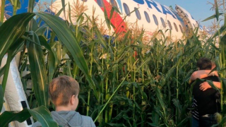 Un pasajero graba el milagroso aterrizaje de emergencia de un avión con 233 pasajeros en un campo de maíz en Rusia